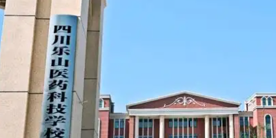 <b>樂山醫藥科技學校</b>