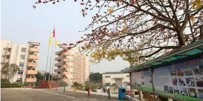 <b>射洪縣金龍職業(yè)技術(shù)學(xué)校</b>