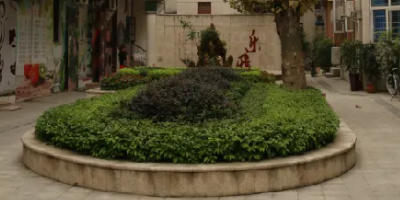 <b>成都市蜀興職業(yè)中學</b>