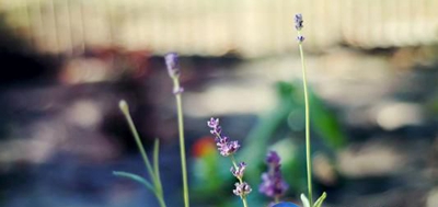 江油中壩職業中學