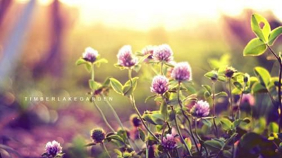 江油中壩職業(yè)中學